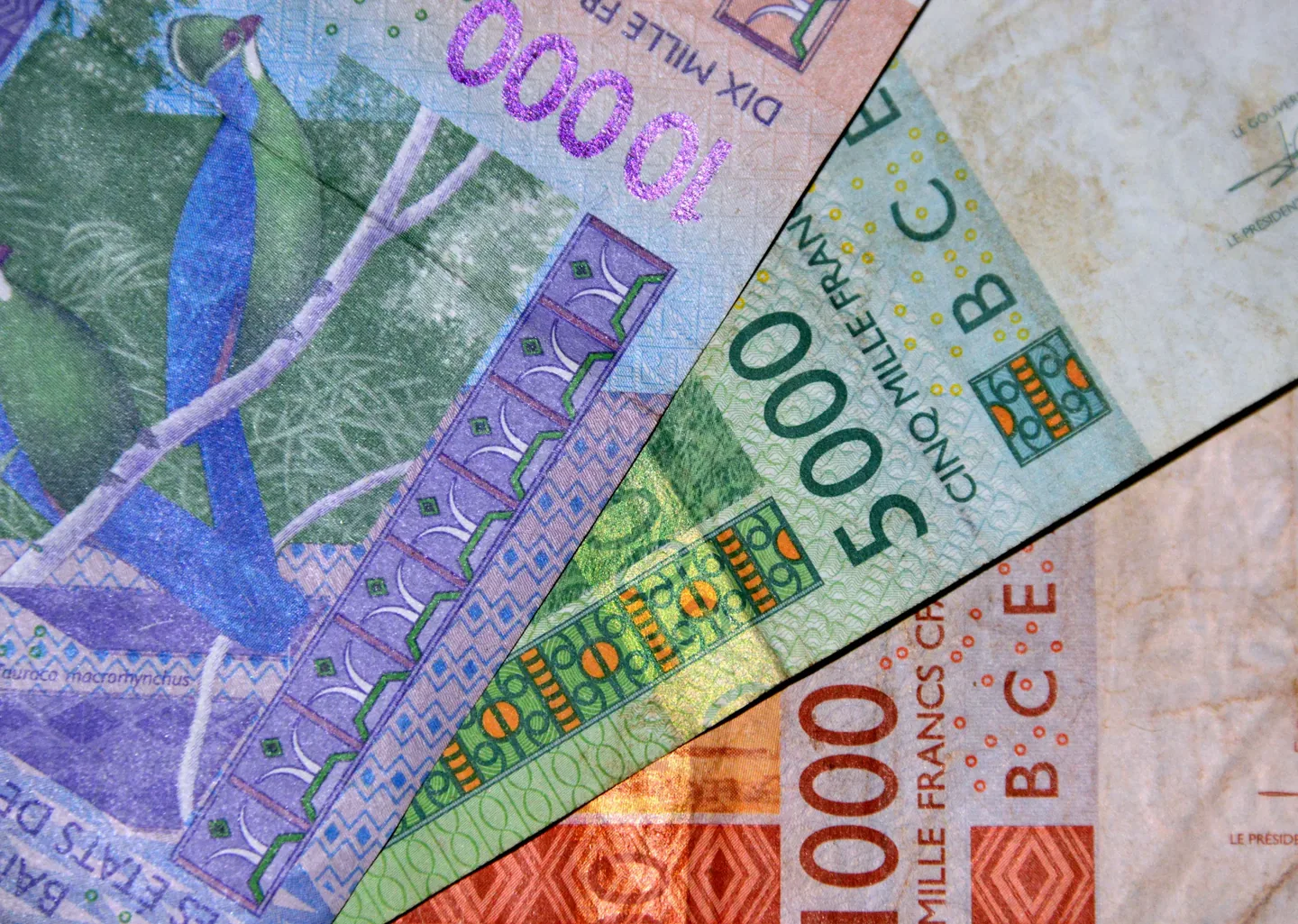 The Case for West Africa: Evolving Business Performance in Rapid and Unstable Markets